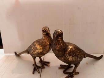 It's a Yellow Bird Bonanza in Chestatee - Image 18