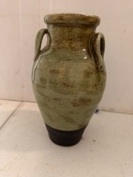 It's a Yellow Bird Bonanza in Chestatee - Image 22