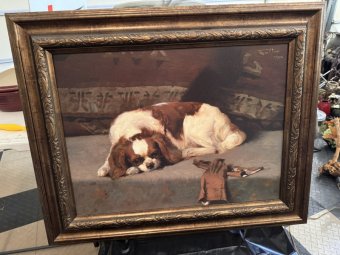 It's a Yellow Bird Bonanza in Chestatee - Image 43