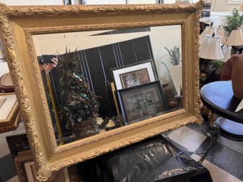 It's a Yellow Bird Bonanza in Chestatee - Image 60