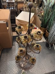 It's a Yellow Bird Bonanza in Chestatee - Image 64