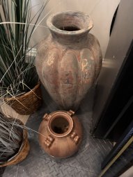 It's a Yellow Bird Bonanza in Chestatee - Image 65