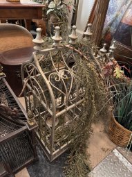 It's a Yellow Bird Bonanza in Chestatee - Image 67