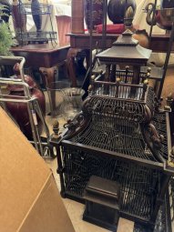 It's a Yellow Bird Bonanza in Chestatee - Image 69