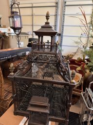 It's a Yellow Bird Bonanza in Chestatee - Image 70