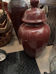 It's a Yellow Bird Bonanza in Chestatee - Image 73