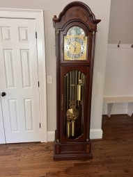 It's a Yellow Bird Bonanza in Chestatee - Image 82