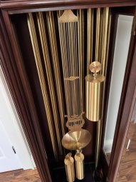 It's a Yellow Bird Bonanza in Chestatee - Image 83