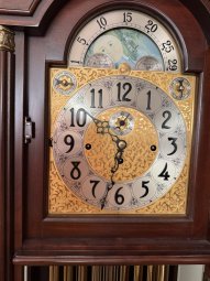 It's a Yellow Bird Bonanza in Chestatee - Image 84