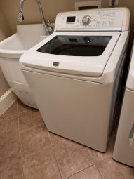 It's a Yellow Bird Bonanza in Chestatee - Image 86