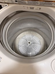 It's a Yellow Bird Bonanza in Chestatee - Image 87