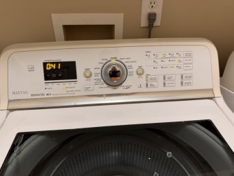 It's a Yellow Bird Bonanza in Chestatee - Image 88