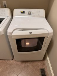 It's a Yellow Bird Bonanza in Chestatee - Image 89