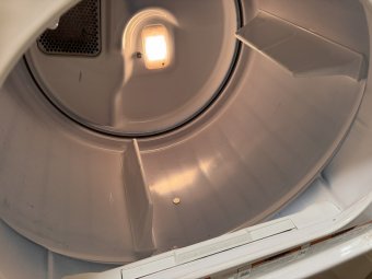 It's a Yellow Bird Bonanza in Chestatee - Image 90