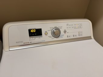 It's a Yellow Bird Bonanza in Chestatee - Image 91