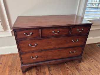 It's a Yellow Bird Bonanza in Chestatee - Image 99