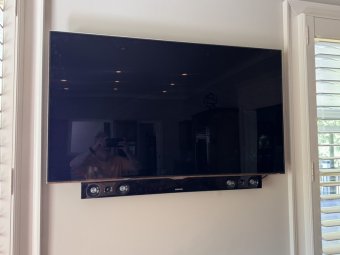 It's a Yellow Bird Bonanza in Chestatee - Image 101