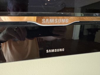 It's a Yellow Bird Bonanza in Chestatee - Image 102