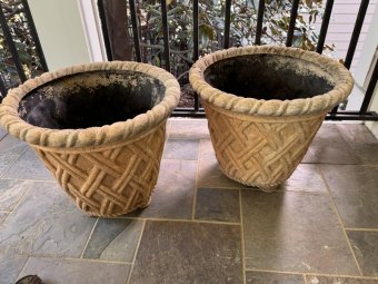 It's a Yellow Bird Bonanza in Chestatee - Image 108