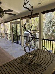 It's a Yellow Bird Bonanza in Chestatee - Image 109