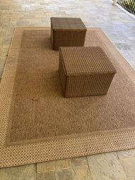 It's a Yellow Bird Bonanza in Chestatee - Image 111