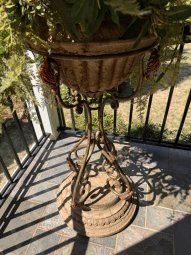 It's a Yellow Bird Bonanza in Chestatee - Image 113