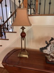 It's a Yellow Bird Bonanza in Chestatee - Image 115