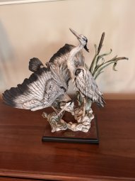 It's a Yellow Bird Bonanza in Chestatee - Image 116