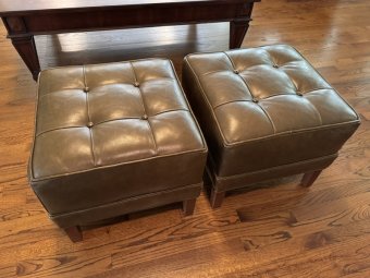 It's a Yellow Bird Bonanza in Chestatee - Image 128