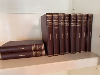 It's a Yellow Bird Bonanza in Chestatee - Image 129