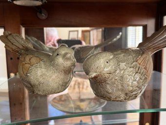 It's a Yellow Bird Bonanza in Chestatee - Image 143