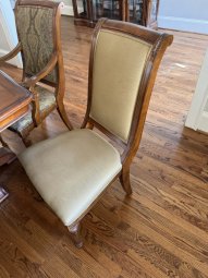 It's a Yellow Bird Bonanza in Chestatee - Image 150