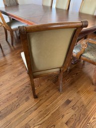 It's a Yellow Bird Bonanza in Chestatee - Image 152