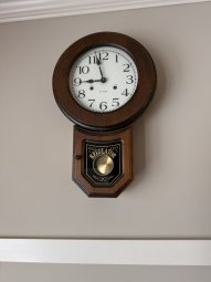 It's a Yellow Bird Bonanza in Chestatee - Image 162