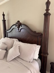 It's a Yellow Bird Bonanza in Chestatee - Image 170