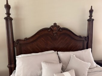 It's a Yellow Bird Bonanza in Chestatee - Image 171