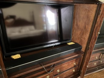 It's a Yellow Bird Bonanza in Chestatee - Image 178