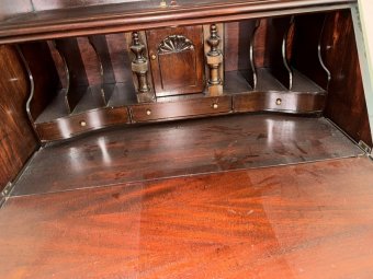 It's a Yellow Bird Bonanza in Chestatee - Image 183