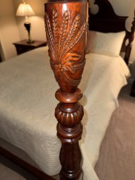 It's a Yellow Bird Bonanza in Chestatee - Image 185