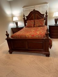 It's a Yellow Bird Bonanza in Chestatee - Image 196