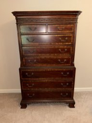 It's a Yellow Bird Bonanza in Chestatee - Image 203