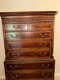 It's a Yellow Bird Bonanza in Chestatee - Image 204