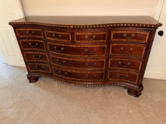 It's a Yellow Bird Bonanza in Chestatee - Image 205