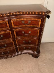 It's a Yellow Bird Bonanza in Chestatee - Image 206