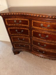 It's a Yellow Bird Bonanza in Chestatee - Image 208