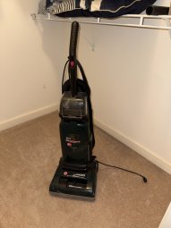 It's a Yellow Bird Bonanza in Chestatee - Image 209