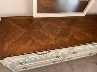 It's a Yellow Bird Bonanza in Chestatee - Image 217