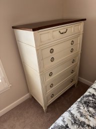 It's a Yellow Bird Bonanza in Chestatee - Image 219