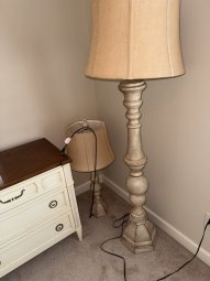 It's a Yellow Bird Bonanza in Chestatee - Image 220