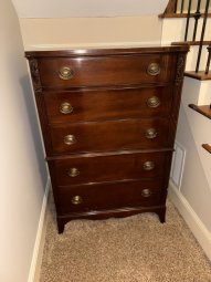 It's a Yellow Bird Bonanza in Chestatee - Image 223